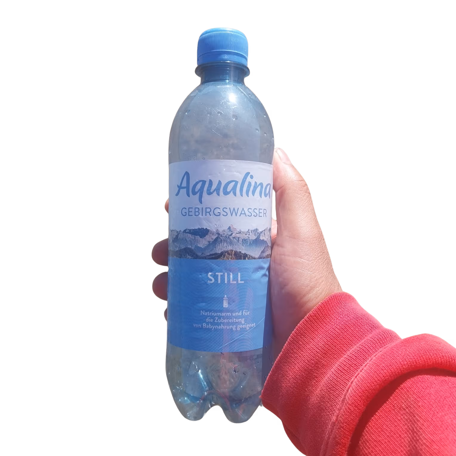 Aqualina Gebirgswasser 0,5l EINWEG