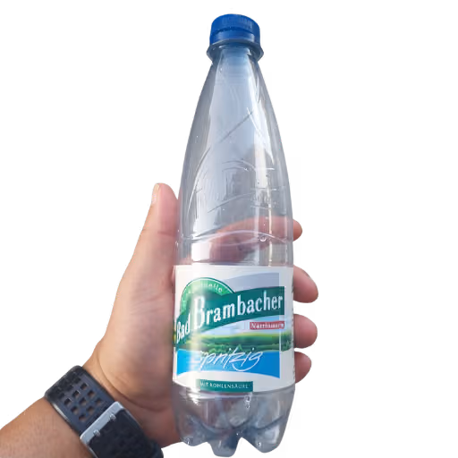 Bad Brambacher Spritzig 0,5l EINWEG