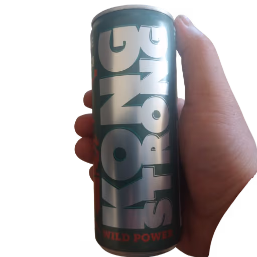 Kong Strong Wild Power 0,25l EINWEG